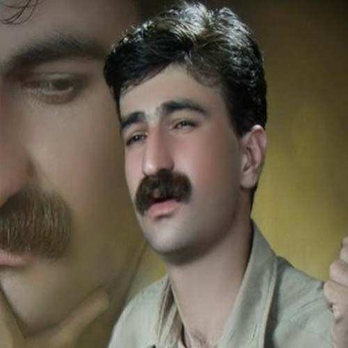 نوید حمیدی شیرین